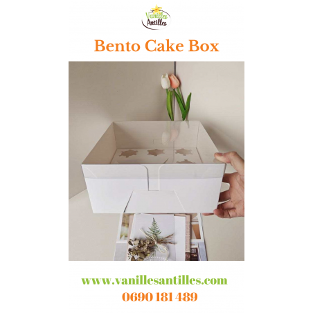 Box bento cake 6 trous par lot de 10