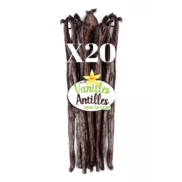 20 Gousses – 17cm – de...