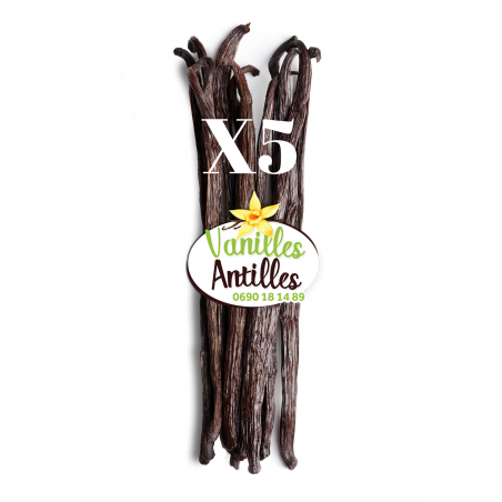 5 Gousses – 17cm – de Vanille Noire Bourbon – Qualité Gourmet | Vanilles Antilles