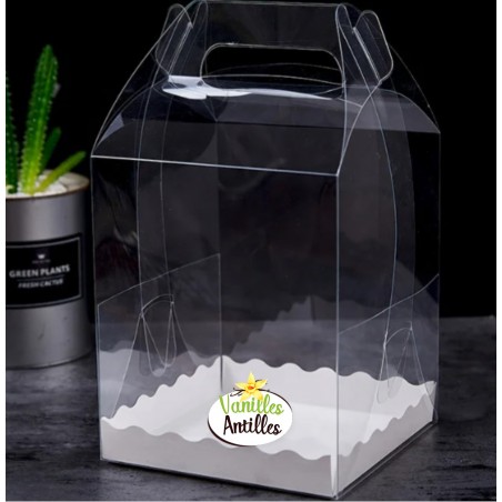 19.5x19.5x20cm lot de 10 - Bento cake seul